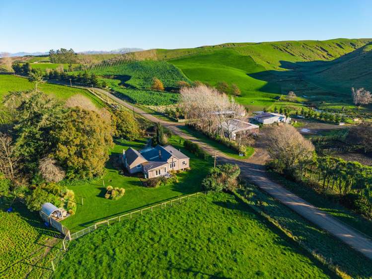 463 Dog Kennel Road Waimate_34