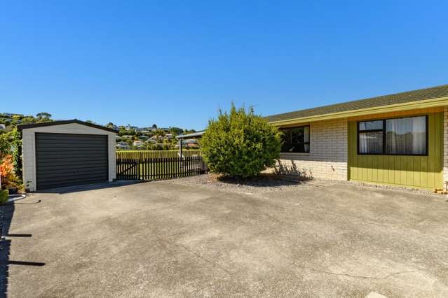 402b Ngatai Road Bellevue_2