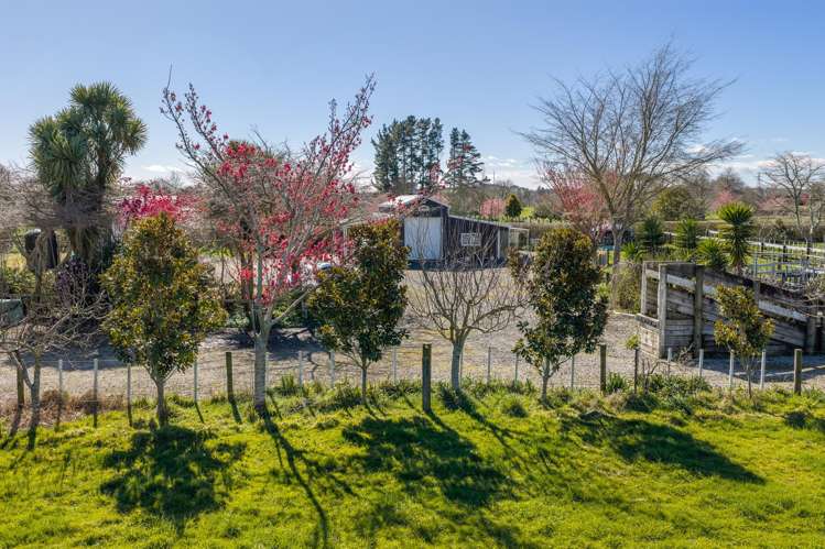 101 Ormsby Road Pirongia_23