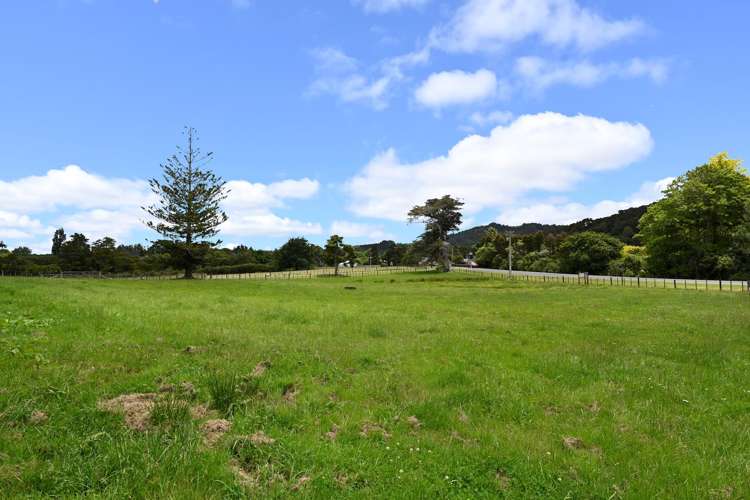 867 Kahikatea Flat Road Waitoki_27