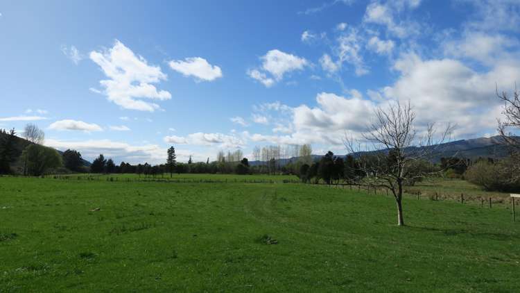 3957 Northbank Road Wairau Valley_20