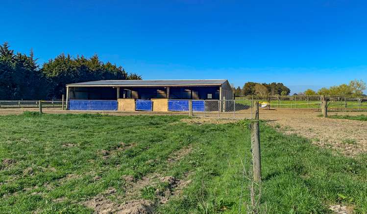 266 Winton Lorneville Highway Winton Surrounds_9