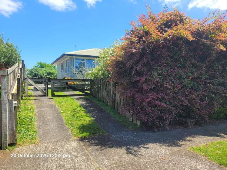 29 McKinnon Street 11616_0