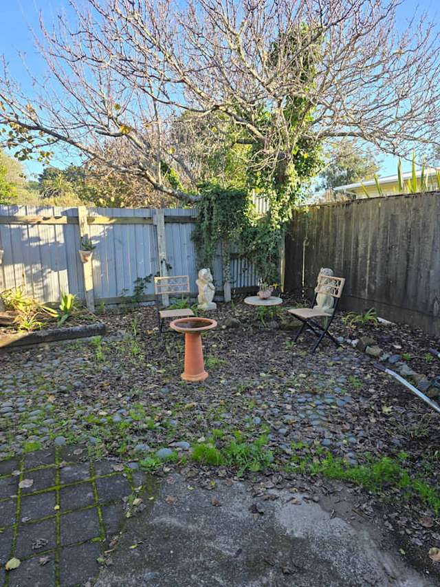 263 Pohutukawa Avenue Ohope_2