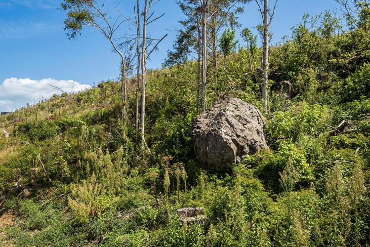 Puhipuhi Road Whakapara_10