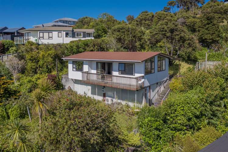 260 Wyuna Bay Road Coromandel_19