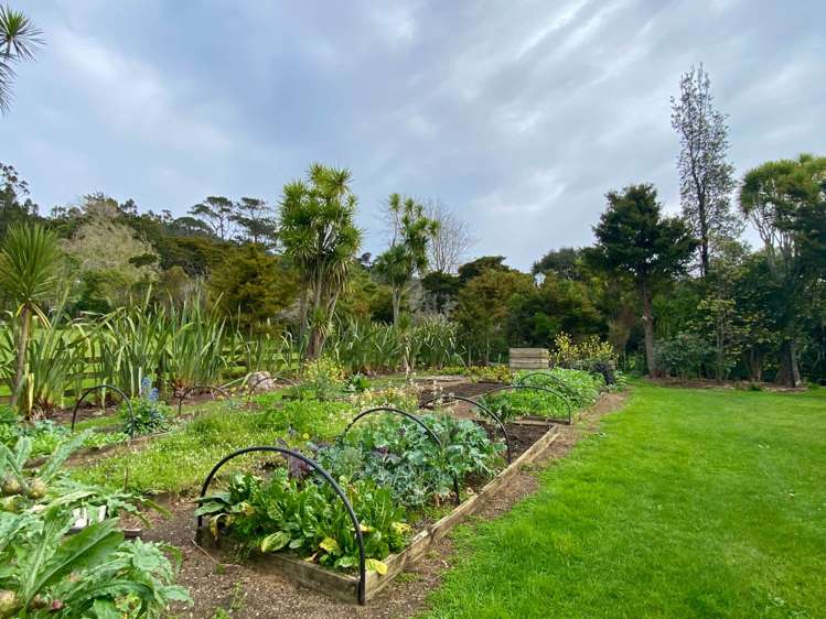 115 Bethells Road Waitakere_22