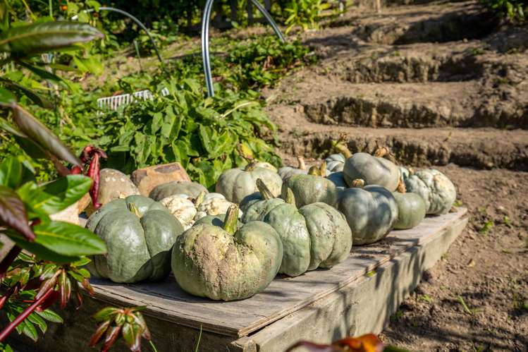 69 Newman Drive Enner Glynn_22