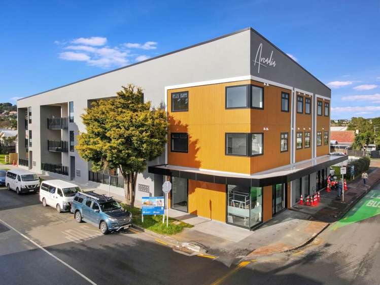 101/1A Kings Road Mt Roskill_0