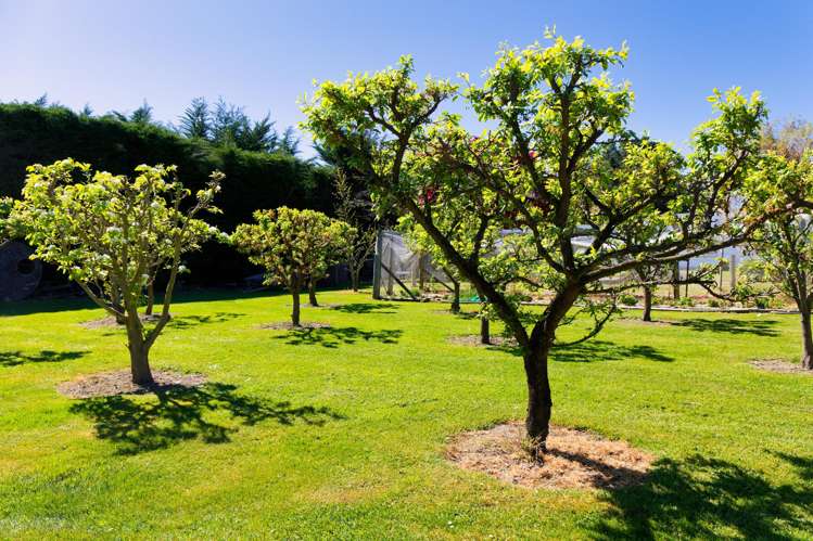 871 Inland Kaikoura Road Kaikoura_27