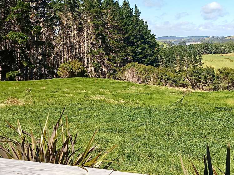 6 Gumtree Way Kaiwaka_14