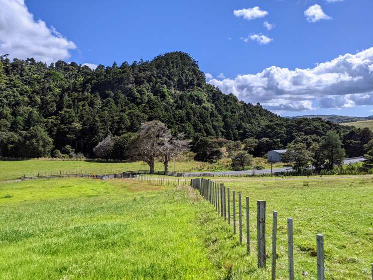 634 West Coast Road Makarau_10