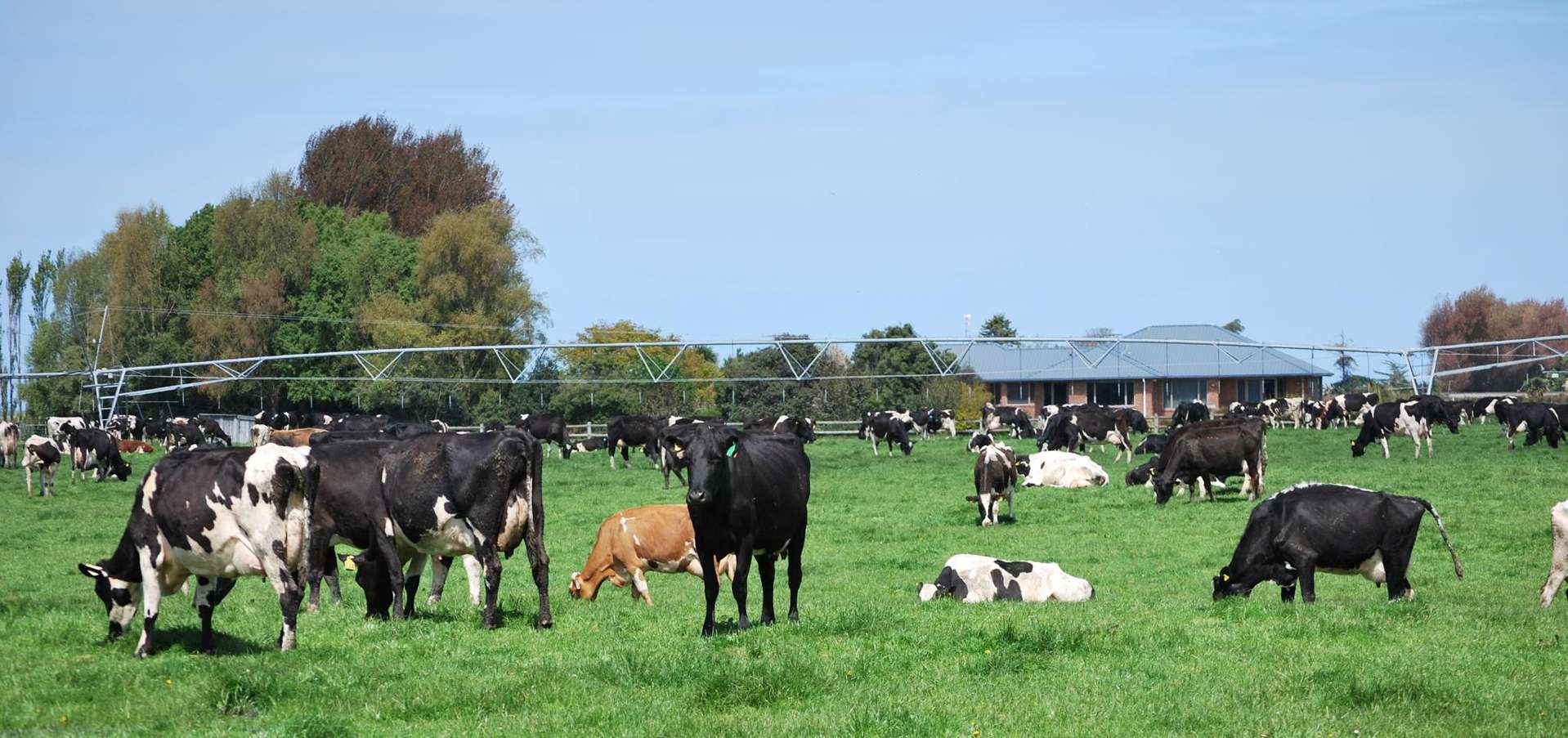 28 Toner Road Temuka_0