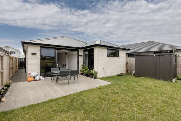 17 Hinaki Street Poike_16