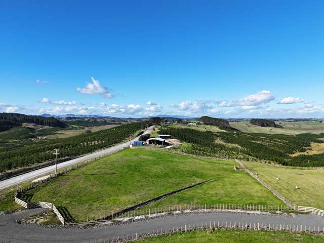 Lot 6 Babylon Coast Road Dargaville_3