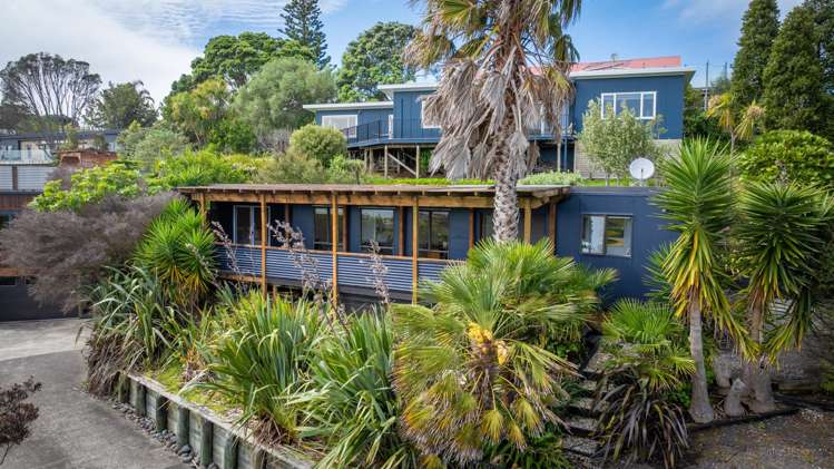 20A Violet Street Raglan_15