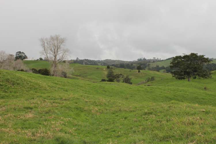 1784 State Highway 12 Paparoa_6