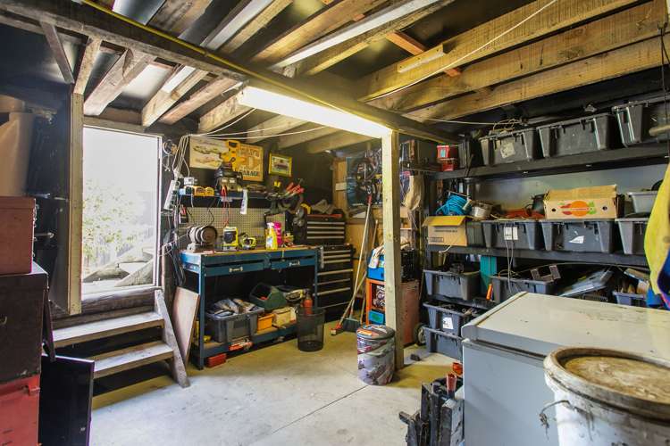 25 Holly Street Avondale_11