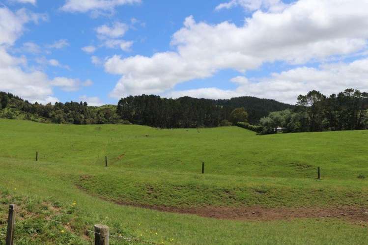 25 Gully Road Pukemiro_4