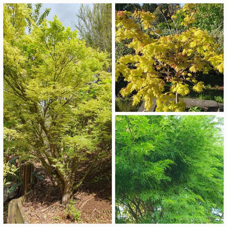 128E Mauku Road Patumahoe_35