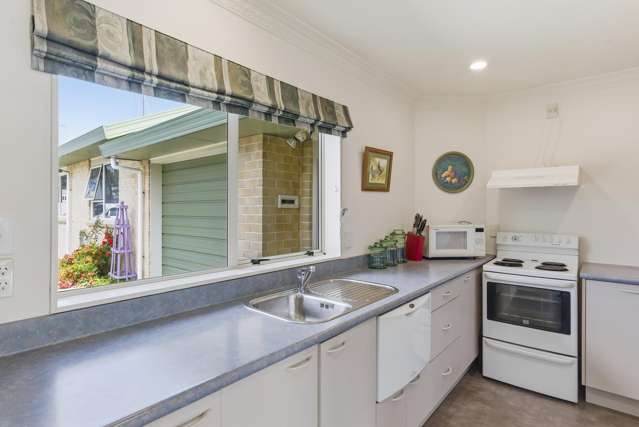 61B Winchester Street Levin_3