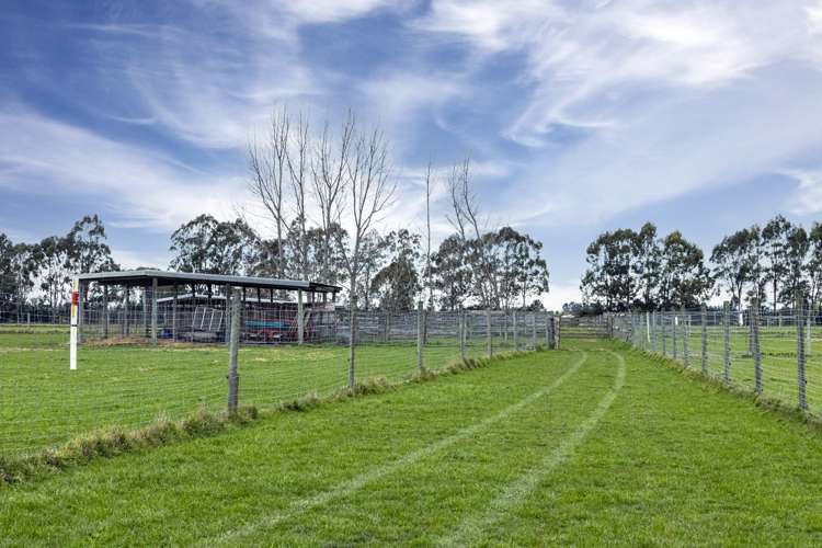 227 Foley Road Kerrytown_14