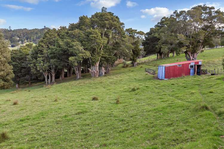 903 Springfield Road Mangapai and Surrounds_25