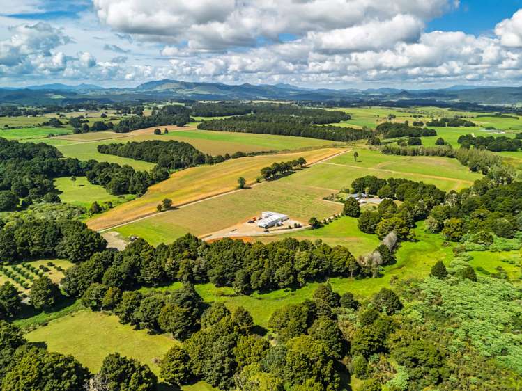 75 Thorpe Rd Kaikohe_6