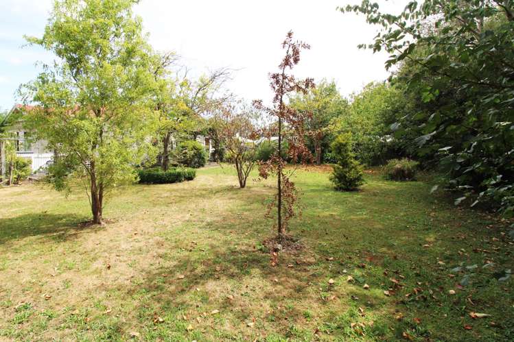 87 Park Road Carterton_13