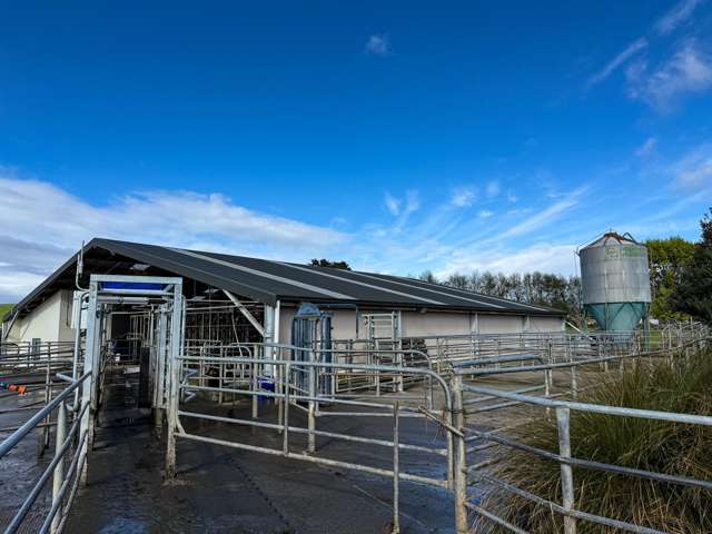 473 Clifden Gorge Road Eastern Bush_4