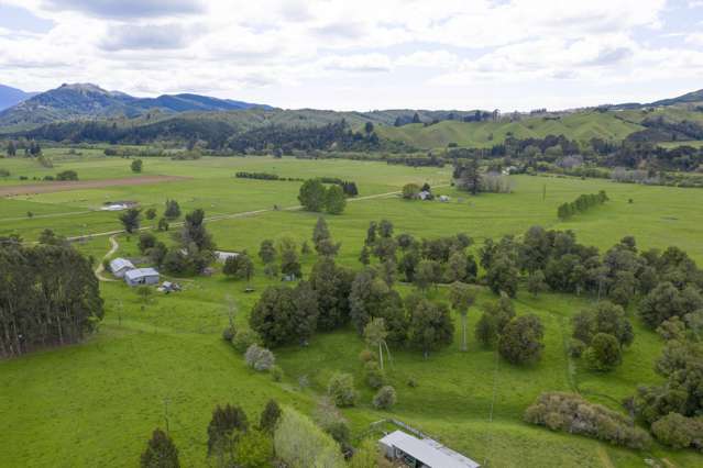 3581 Motueka Valley Highway Kahurangi National Park_2