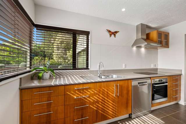 43B Murphys Road Springlands_2