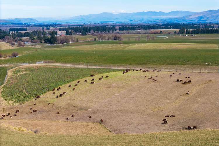 347 Butlers Road Fairlie_5