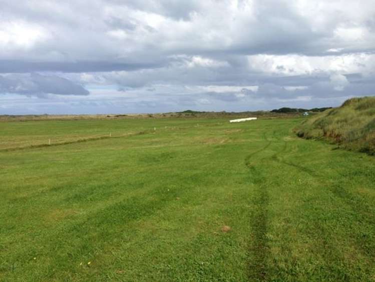 1110 Waimatuku Bush Road Taramoa_10