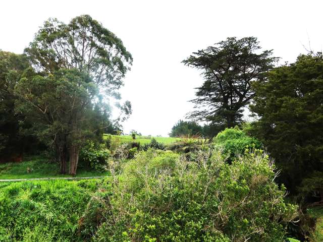 37 Donnellys Station Road Dargaville_2