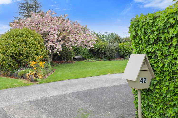 42 Hillcrest Avenue Hillcrest_15