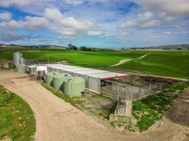 3722 Waimate Highway Glenavy_3