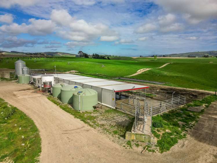 3722 Waimate Highway Glenavy_2