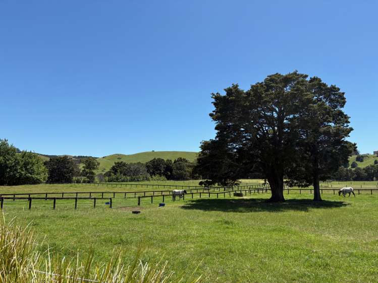 145A Port Marsden Highway Ruakaka_45