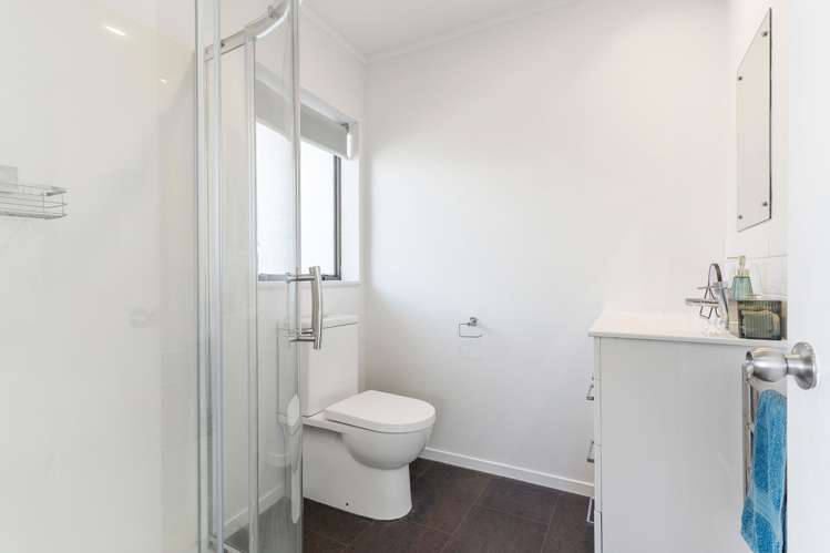 162 Carnoustie Drive Wattle Downs_15