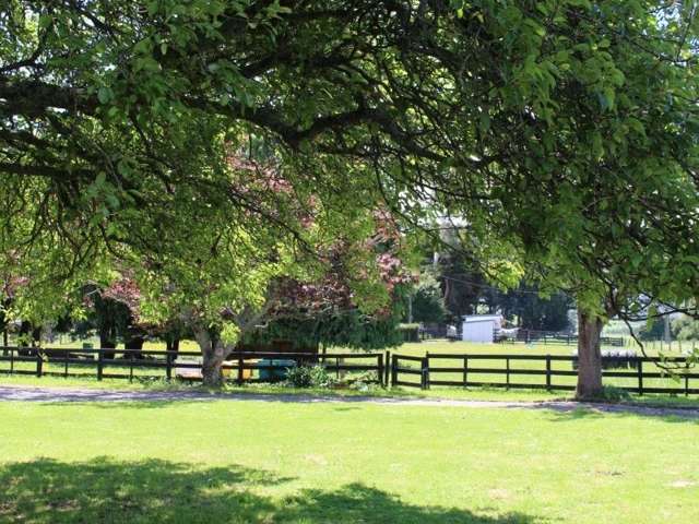 147 Ross Road Rangitikei Surrounds_2