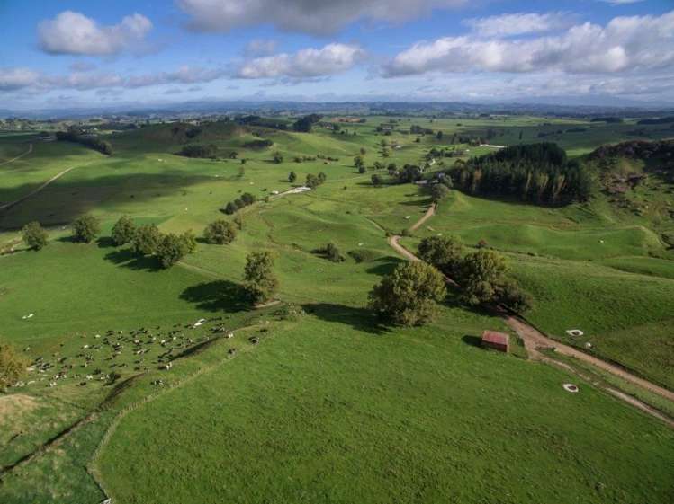 244 Whawharua Road Otorohanga_2