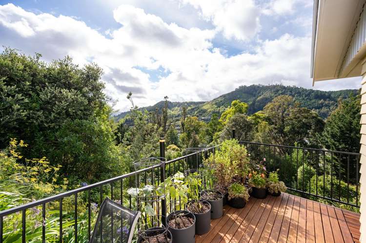 19 Thompson Terrace Toi Toi_8