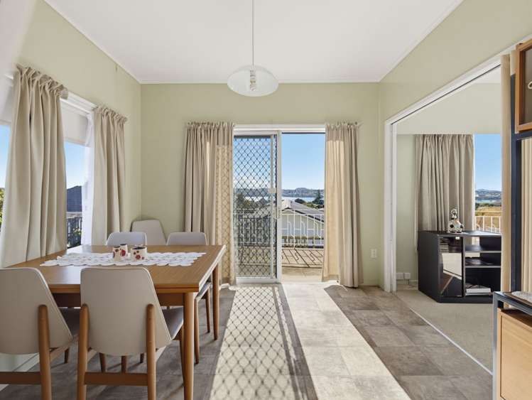 5 Conifer Lane Mangere Bridge_9