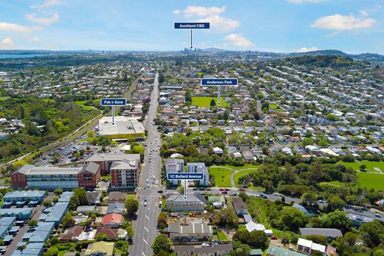 1C Bollard Avenue Mt Albert_18