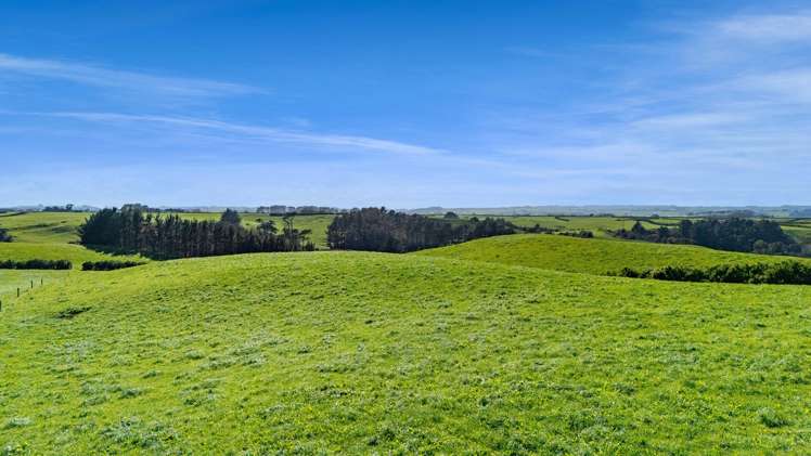 2A Ropata Street Hawera_7