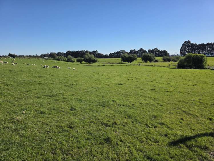 351 Loburn Kowai Road Loburn_41