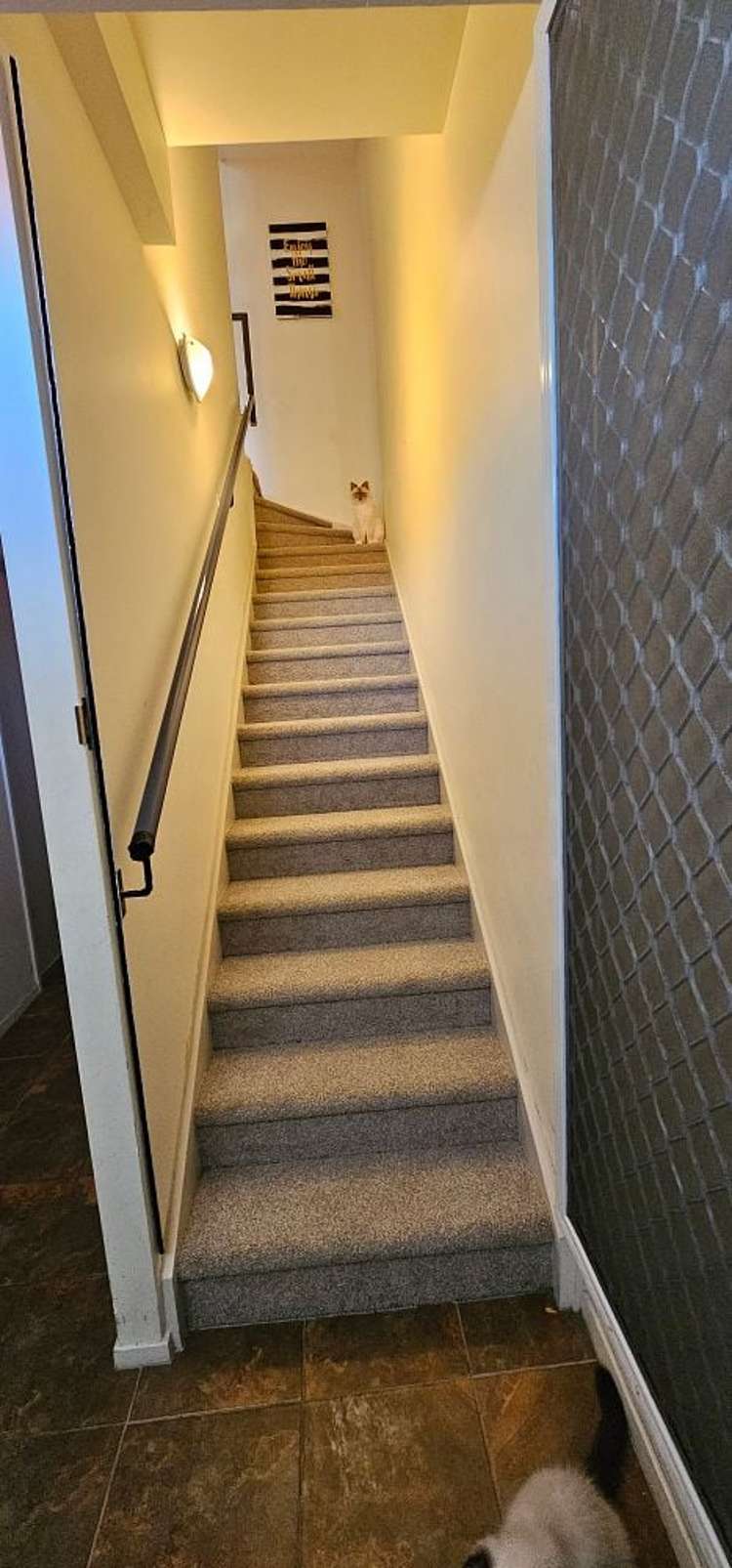 25/6 Ambrico Place New Lynn_8