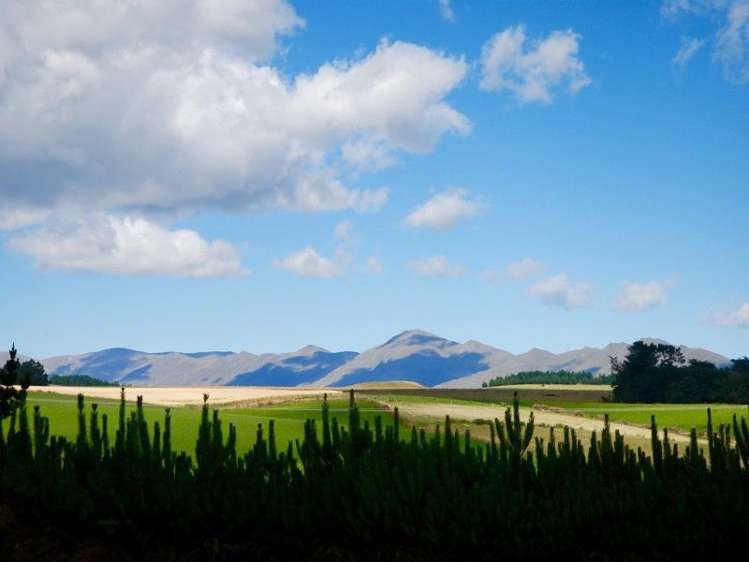 252 Tokarahi-Duntroon Road Five Forks and Surrounds_28