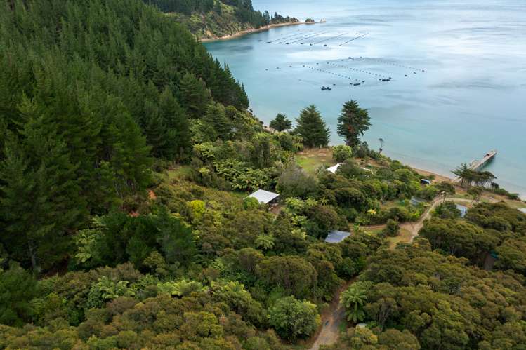 Lot 2 Grant Bay, Manaroa Marlborough Sounds_5